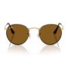 Rayban Rounded Sunglass Brown Color